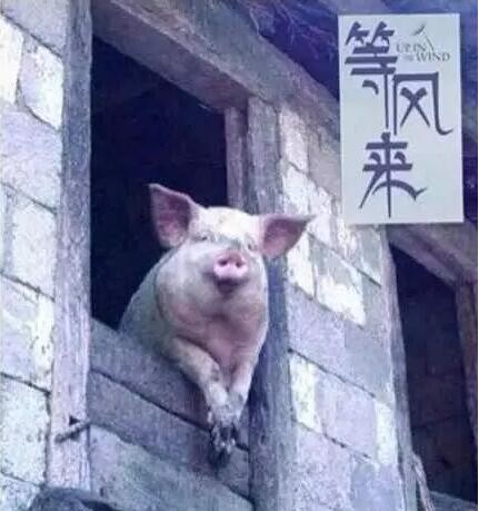 1659748822984116.jpg QQ截圖20220806092011.jpg